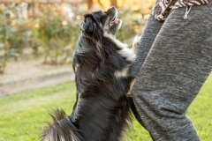Playtime