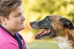 Rescue Dog Roxy
