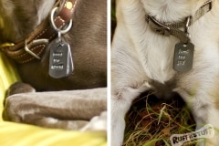 Dog Tags