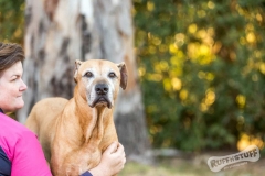 Rescue Dog Winston