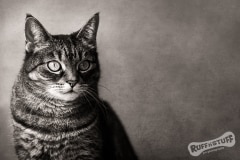 Pensive Pud