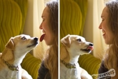 Tongue swap