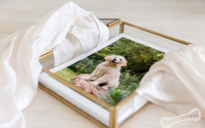 The True Value of Prints